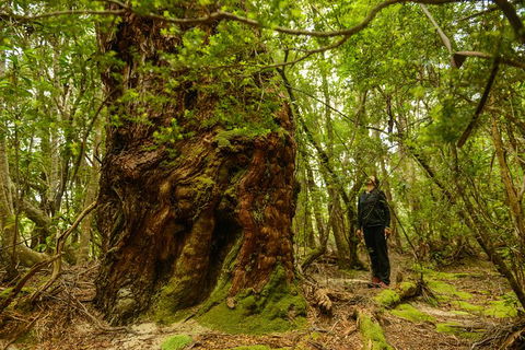 3-Day Southwest National Park Wilderness Camping Tour - Accommodation Resorts 4