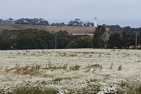 Cruise Ship Excursion: NW Tassie Coastal Explorer - Accommodation Resorts 14