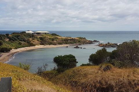 Cruise Ship Excursion: NW Tassie Coastal Explorer - Accommodation Resorts 13