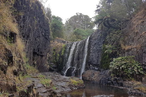 Cruise Ship Excursion: NW Tassie Coastal Explorer - Accommodation Resorts 16