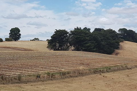 Cruise Ship Excursion: NW Tassie Coastal Explorer - Accommodation Resorts 9