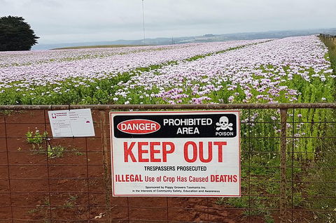 Cruise Ship Excursion: NW Tassie Coastal Explorer - Accommodation Resorts 10