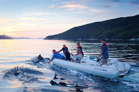 4-Day Cruise Expedition Of Southwest Tasmania\'s World Heritage From Hobart - Accommodation Resorts 1