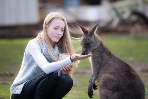 Cruise Ship Special From Hobart: Richmond And Bonorong Wildlife Park Shuttle - Accommodation Resorts 4