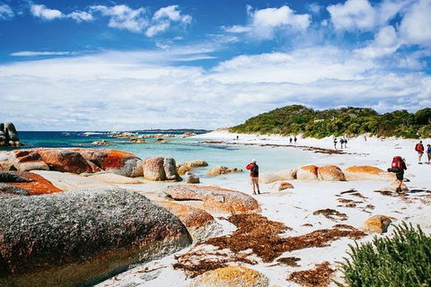 Wineglass Bay Private Charter Service - Accommodation Resorts 2
