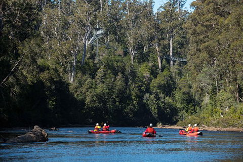 Twin Rivers Adventure - Accommodation Resorts 0