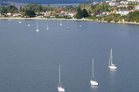 Hobart City Flight Including Mt Wellington And Derwent River - Accommodation Resorts 1