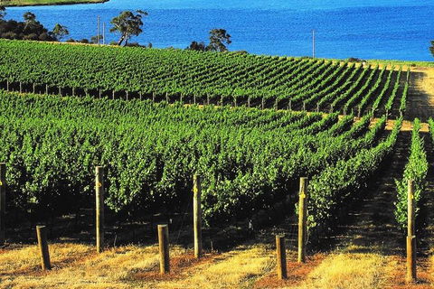 Hobart Afternoon Wine Tour Saturday: Local Wines + Cheese & Guide - Accommodation Resorts 3