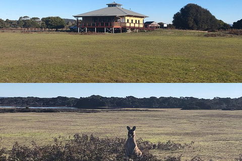 Spend A Day In One Of Tasmania\'s Best Wildlife National Park\'s - Accommodation Resorts 3
