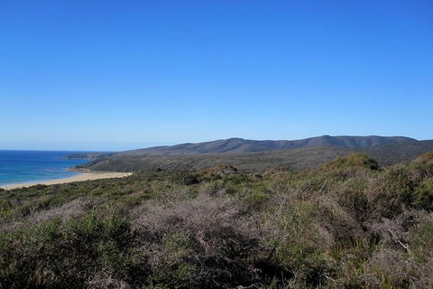 Spend A Day In One Of Tasmania\'s Best Wildlife National Park\'s - Accommodation Resorts 5