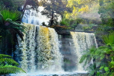 6-Day Tasmania Small-Group Guided Tour With Gourmet Food - Accommodation Resorts 9