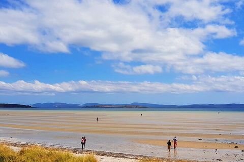 6-Day Tasmania Small-Group Guided Tour With Gourmet Food - Accommodation Resorts 7