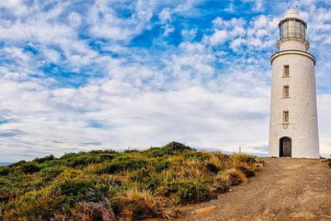Bruny Island Private Charter Service - Accommodation Resorts 3