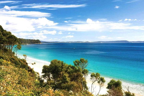 Bruny Island Private Charter Service - Accommodation Resorts 1