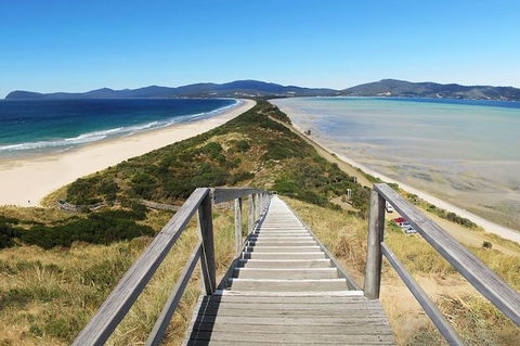 Bruny Island Private Charter Service - Accommodation Resorts 2