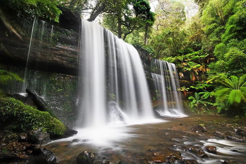 Mount Field Private Charter Service - Accommodation Resorts 1