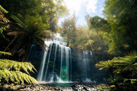 Mount Field Private Charter Service - Accommodation Resorts 2