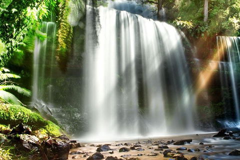 Mount Field Private Charter Service - Accommodation Resorts 0