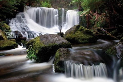 Highlights Of Tasmania Premium Small Group 7 Days Touring Package - Accommodation Resorts 7