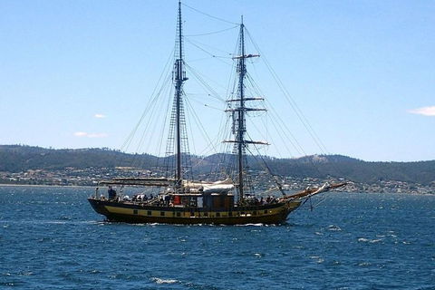 Splendid! Historical Tours Of Hobart - Accommodation Resorts 8