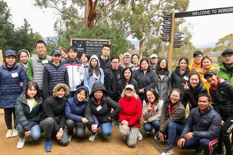 Bonorong Wildlife Volunteer Tour - Accommodation Resorts 0