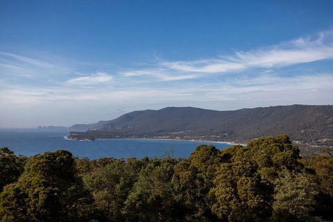 Discover Hobart: Port Arthur And Lavender Farm 1 Day Tour - Accommodation Resorts 5