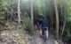 Explore Downhill Mountain In 3-Hour Bike Tour From Hobart - thumb 5