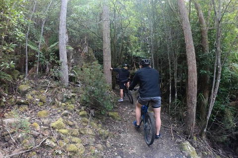 Explore Downhill Mountain In 3-Hour Bike Tour From Hobart - Accommodation Resorts 5