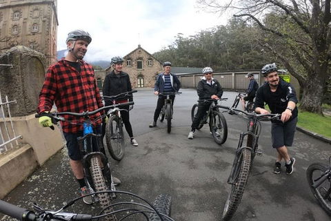 Explore Downhill Mountain In 3-Hour Bike Tour From Hobart - Accommodation Resorts 3