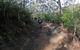 Explore Downhill Mountain In 3-Hour Bike Tour From Hobart - thumb 1
