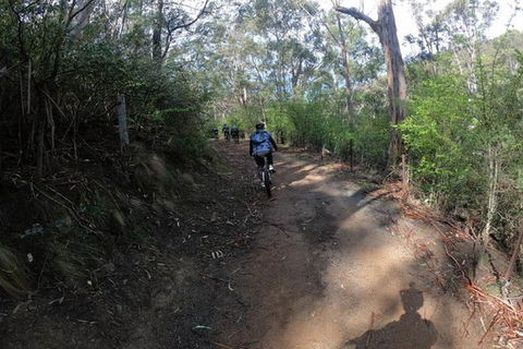 Explore Downhill Mountain In 3-Hour Bike Tour From Hobart - Accommodation Resorts 1