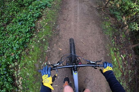 Explore Downhill Mountain In 3-Hour Bike Tour From Hobart - Accommodation Resorts 4