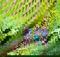Hobart Highlights of Tasmanian Wine Full Day Tour - Accommodation Resorts