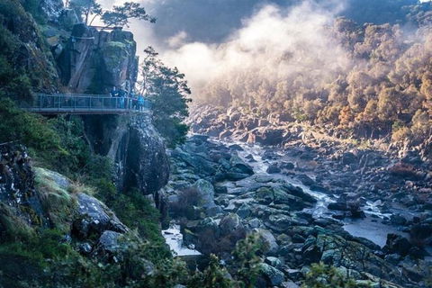 3.5 Hours Walking Tour To Cataract Gorge With Local Guide - Accommodation Resorts 0