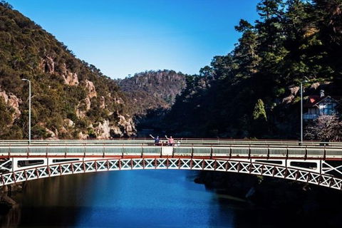 3.5 Hours Walking Tour To Cataract Gorge With Local Guide - Accommodation Resorts 5