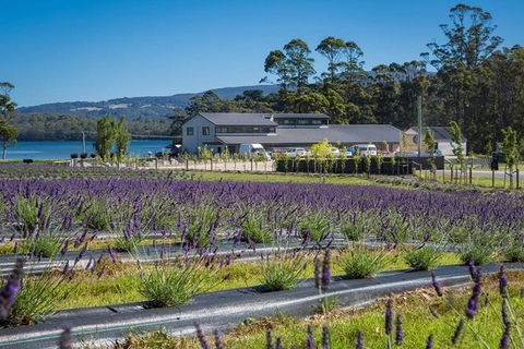 Private Hobart Discover South East Food And Scenic Tour - Accommodation Resorts 3