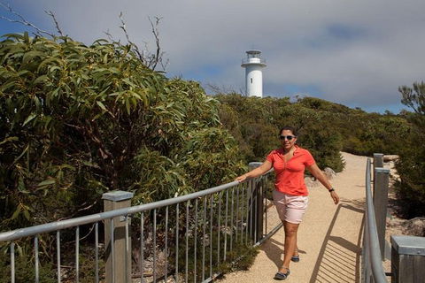 Half-Day Tour To Wineglass Bay From Launceston With Guide - Accommodation Resorts 2