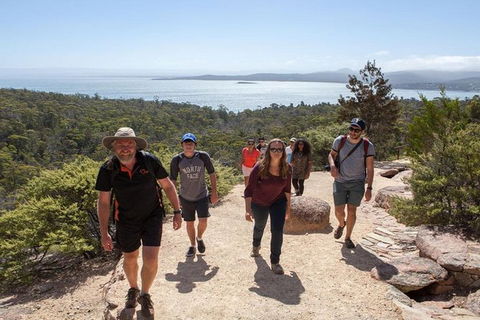 Half-Day Tour To Wineglass Bay From Launceston With Guide - Accommodation Resorts 4