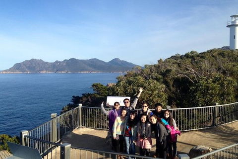 Half-Day Tour To Wineglass Bay From Launceston With Guide - Accommodation Resorts 3