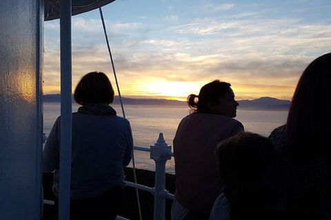 2.5-Hour Sunset At Cape Bruny Lighthouse Tour - Accommodation Resorts 1