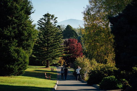 Private Royal Tasmanian Botanical Gardens Walking Tour - Accommodation Resorts 3