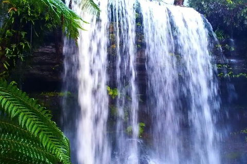 Hobart Minibus Full-Day Private Tour - Accommodation Resorts 5