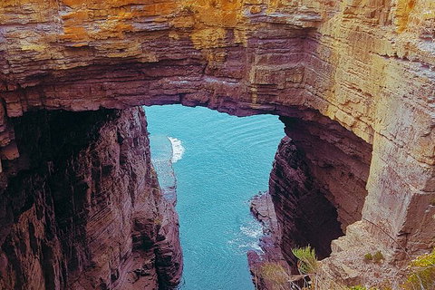 4-Day Fabulous Tasmania Tour: Wineglass Bay, Port Arthur, Devils & Bruny Island - Accommodation Resorts 6