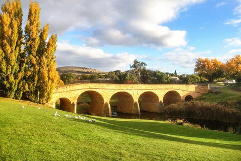 4-Day Fabulous Tasmania Tour: Wineglass Bay, Port Arthur, Devils & Bruny Island - Accommodation Resorts 7