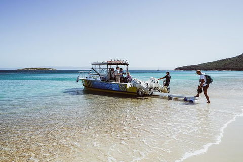 Sea & Explore Wineglass Bay & Freycinet National Park - Cruise & Walk - Accommodation Resorts 3