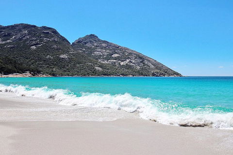 Sea & Explore Wineglass Bay & Freycinet National Park - Cruise & Walk - Accommodation Resorts 4