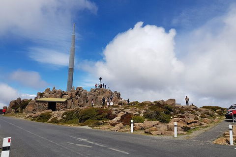 Mt. Wellington Morning Hike + Afternoon Beer & History Walk - Accommodation Resorts 21