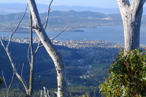 Mt. Wellington Morning Hike + Afternoon Beer & History Walk - Accommodation Resorts 10