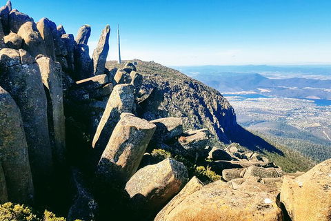 Mt. Wellington Morning Hike + Afternoon Beer & History Walk - Accommodation Resorts 11