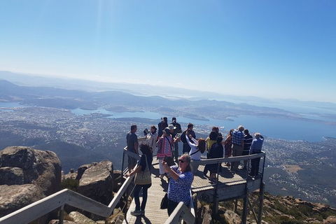 Mt. Wellington Morning Hike + Afternoon Beer & History Walk - Accommodation Resorts 2